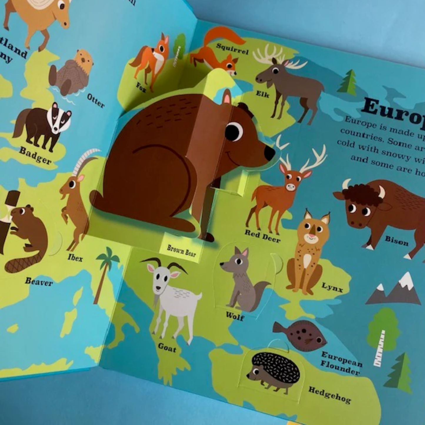 Animal Atlas Pop Up Picture Book
