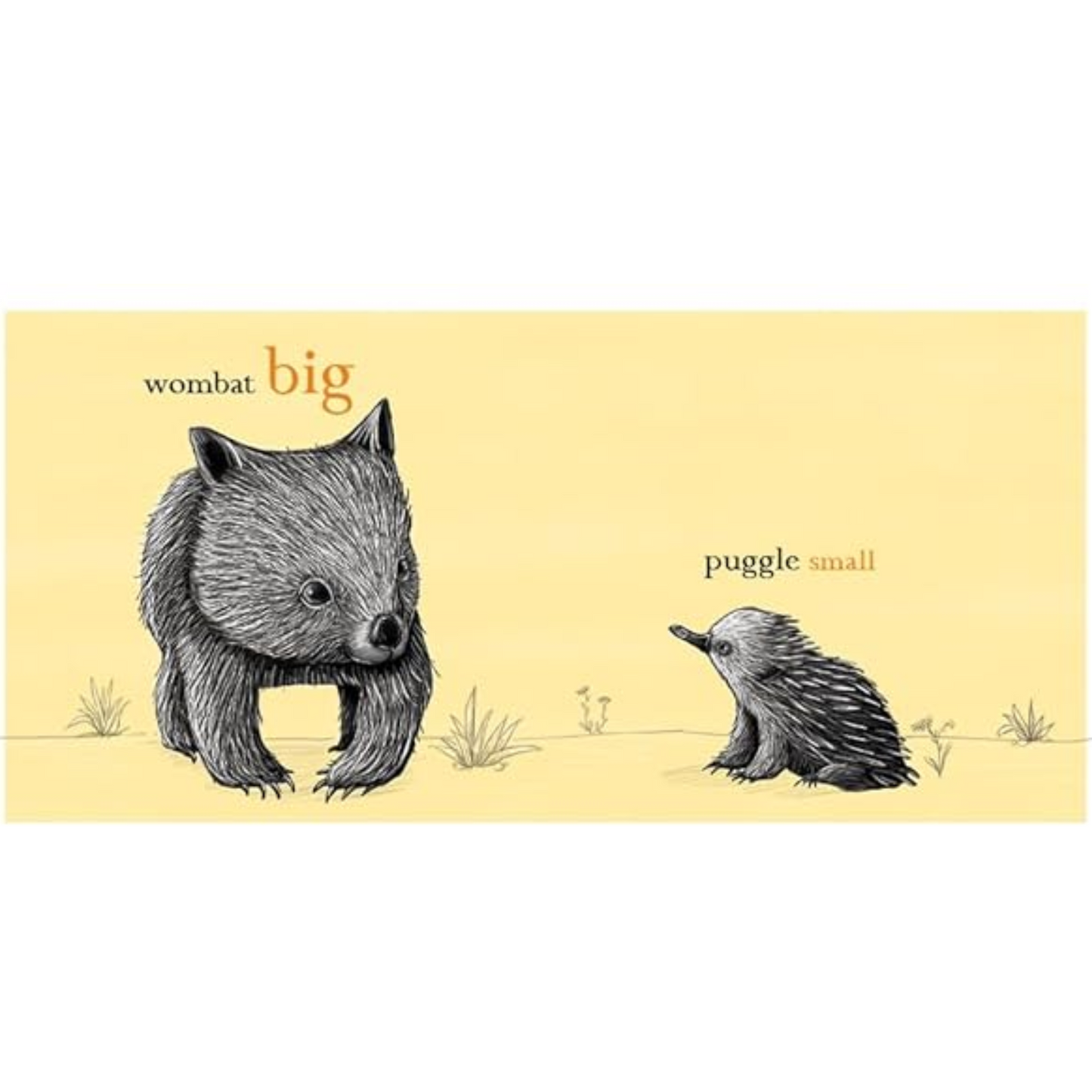 Wombat Big, Puggle Small Picture Book